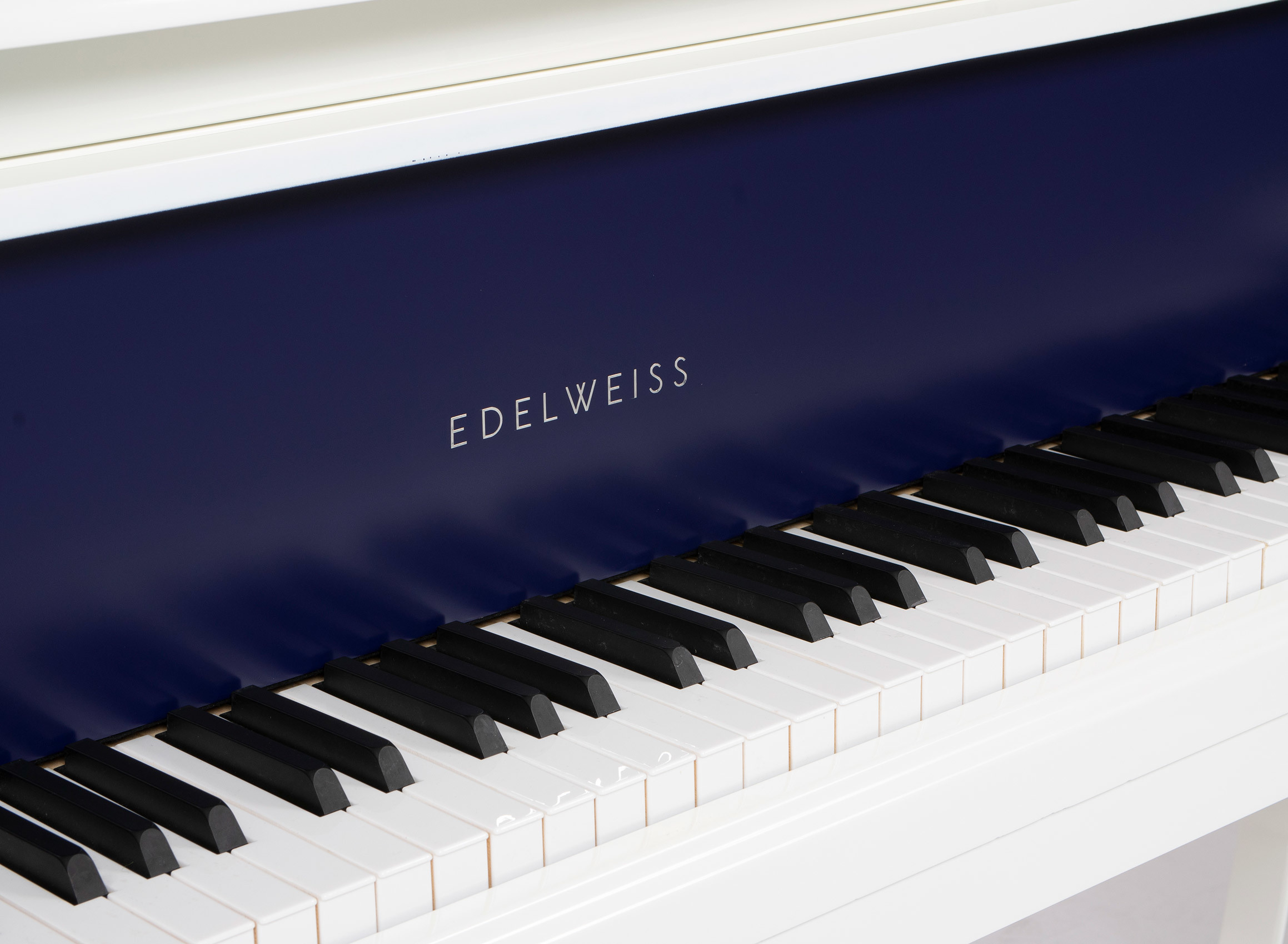 Edelweiss Blue Contrastpiano